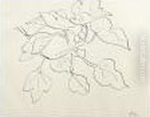 Branchage Oil Painting by Henri Matisse