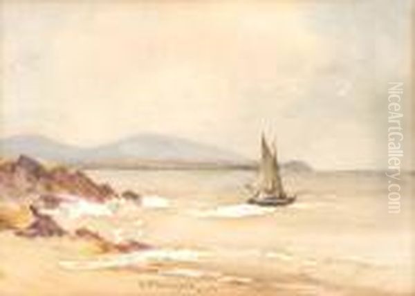 Sailing 
West Of Ireland Oil Painting by William Bingham McGuinness