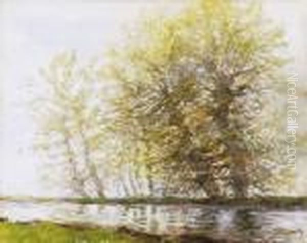Trees By The Riverside Oil Painting by Laszlo Mednyanszky