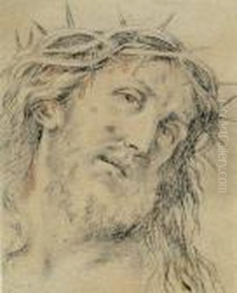 Le Visage Du Christ Oil Painting by Pierre Mignard