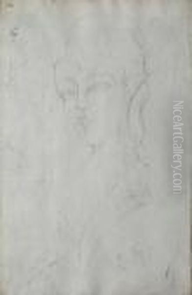 Bozzetto Per L' Amazzone Oil Painting by Amedeo Modigliani