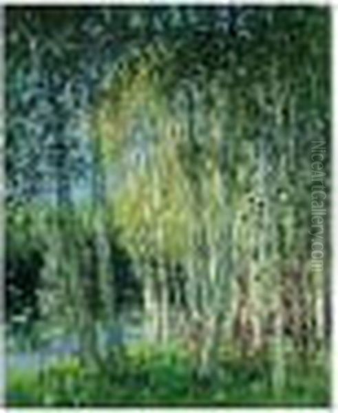 Paysage (bois) Oil Painting by Pierre Eugene Montezin