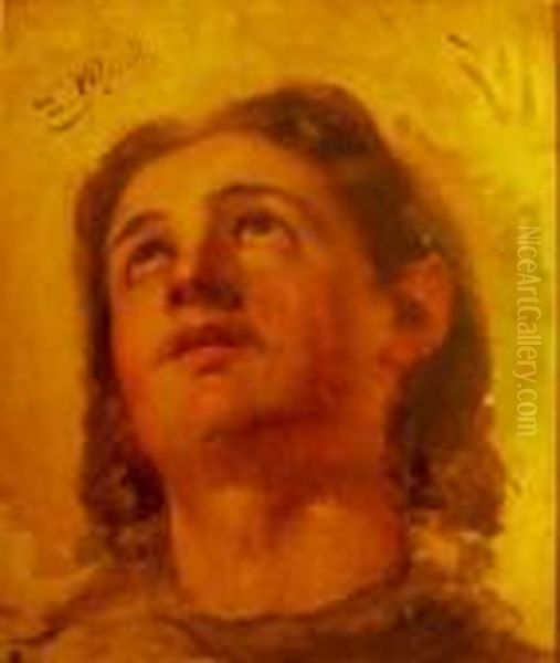 Viso Di Giovine Oil Painting by Domenico Morelli