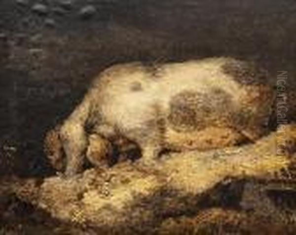 Sketch Of A Sow Oil Painting by George Morland