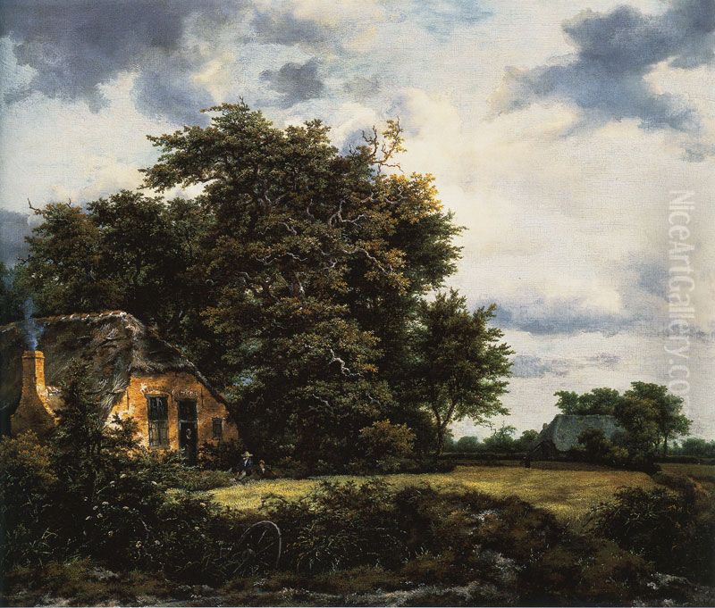 Cottage under trees near a grainfield Oil Painting by Jacob Van Ruisdael