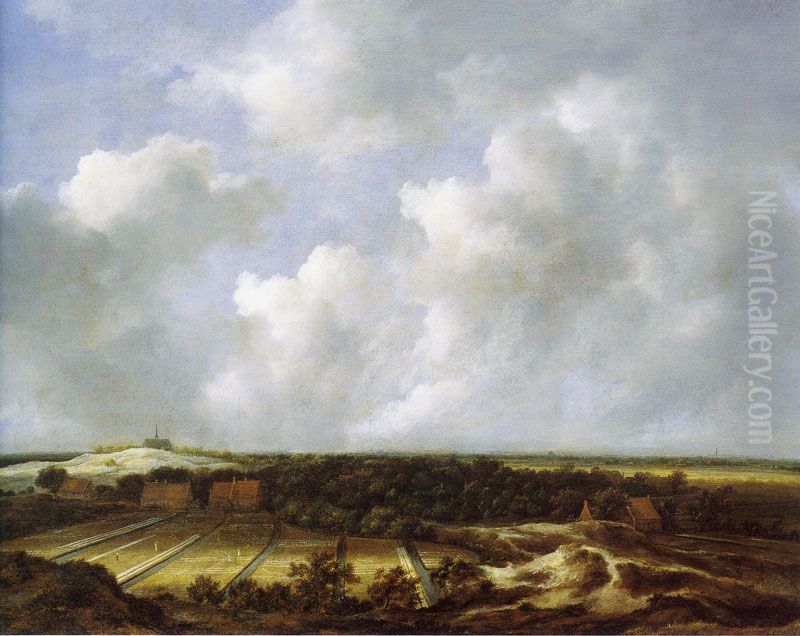 View of the dunes near bloemendaal with bleaching fields Oil Painting by Jacob Van Ruisdael