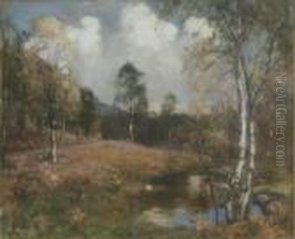 R.a., H.r.s.a., R.s.w. Pair Of 
Oils On Canvas Birch Trees Beside A Stream And On A Hillside Signed 14.5
 X 17.5in Oil Painting by David Murray