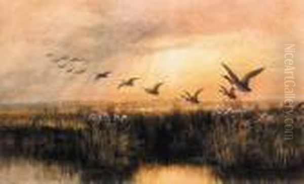 Mallards In Flight Oil Painting by Andrew Nicholl