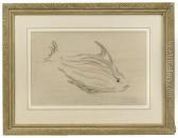 Swimming Fish Oil Painting by William Nicholson