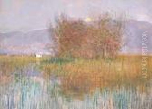 Palude Con
Cespugli Oil Painting by Plinio Nomellini