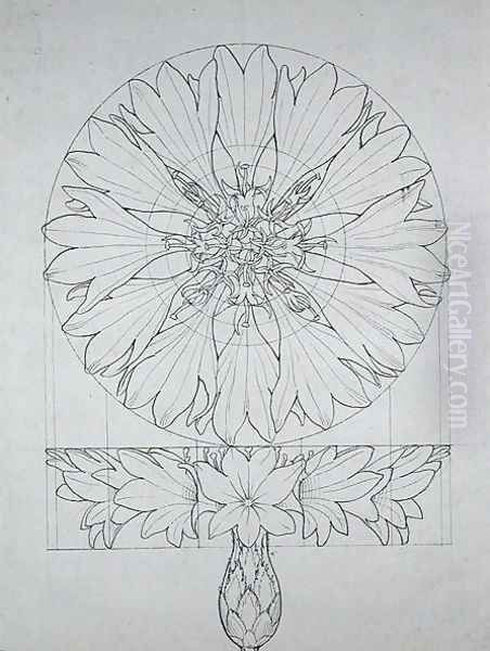 Study for a Cornflower, 1808 Oil Painting by Philipp Otto Runge