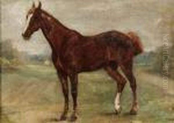 Cavallo
Cavallo Oil Painting by George Paice