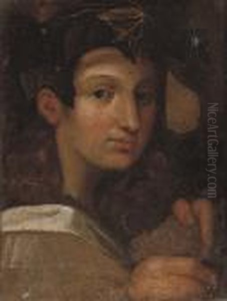 Head Of The Young Bacchus Oil Painting by Girolamo Francesco Maria Mazzola (Parmigianino)