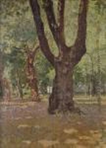 Alberi Oil Painting by Carlo Passigli