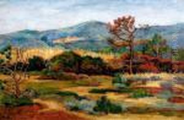 Les Environs De Bormes-les-mimosas Oil Painting by Jean Misceslas Peske