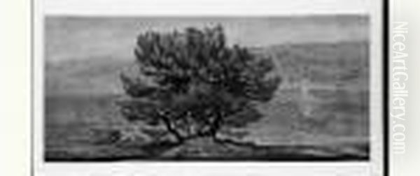 Automne Mediterraneen Oil Painting by Jean Misceslas Peske