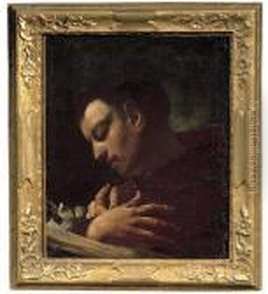 Sant'antonio Da Padova In Atto Di Leggere Oil Painting by Giovanni Battista Piazzetta