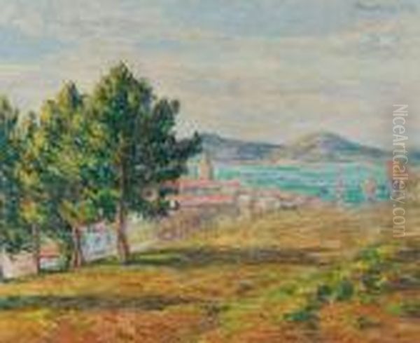 Saint-tropez, 
Vue De Lacitadelle Oil Painting by Francis Picabia