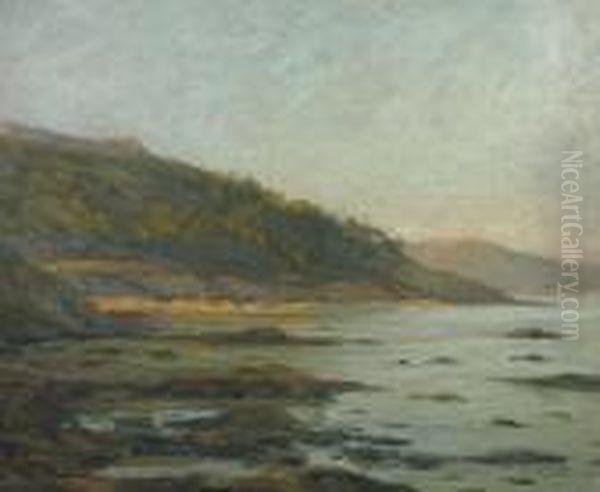 Bord De Mer Mediterrannee Oil Painting by Francis Picabia