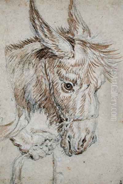 Asss Head Oil Painting by (studio of) Rubens, Peter Paul