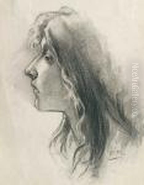 Muchacha De Perfil Oil Painting by Cecilio Pla