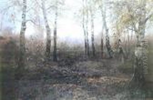 Zagajnik Brzozowy, 1901 R. Oil Painting by Jozef Rapacki