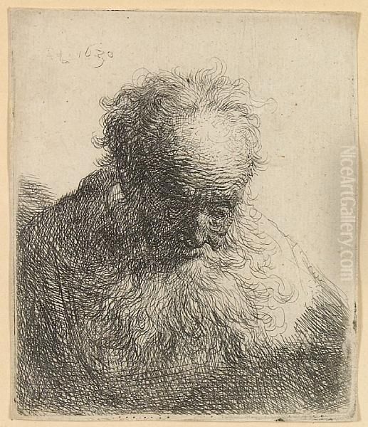 Bust Of An Old Man With A Flowing Beard: Head Bent Forward Oil Painting by Harmenszoon van Rijn Rembrandt