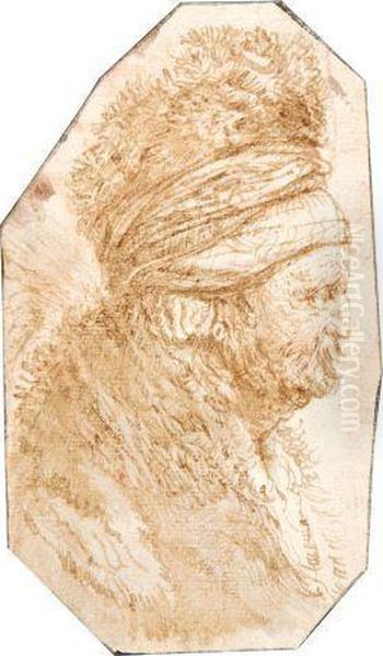 Figure D'homme Barbu Oil Painting by Harmenszoon van Rijn Rembrandt