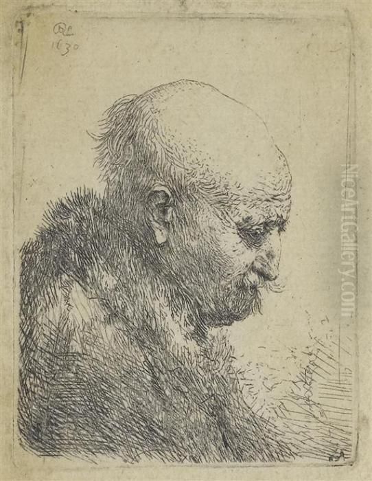 Bald Man Turned To The Right Oil Painting by Harmenszoon van Rijn Rembrandt