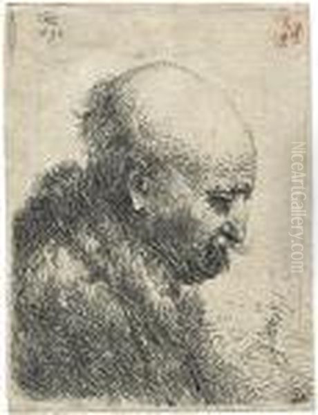 Kahlkopf, Nach Rechts Gewendet Oil Painting by Harmenszoon van Rijn Rembrandt