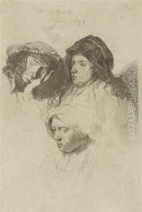 Three Heads Of Women, One Asleep Oil Painting by Harmenszoon van Rijn Rembrandt