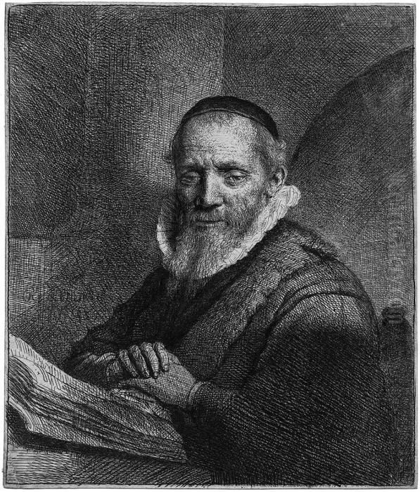 Janus Sylvius Oil Painting by Harmenszoon van Rijn Rembrandt