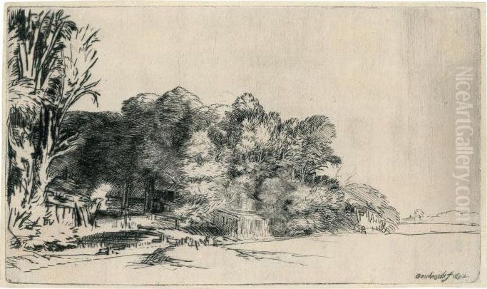 A Clump Of Trees With A Vista Oil Painting by Harmenszoon van Rijn Rembrandt