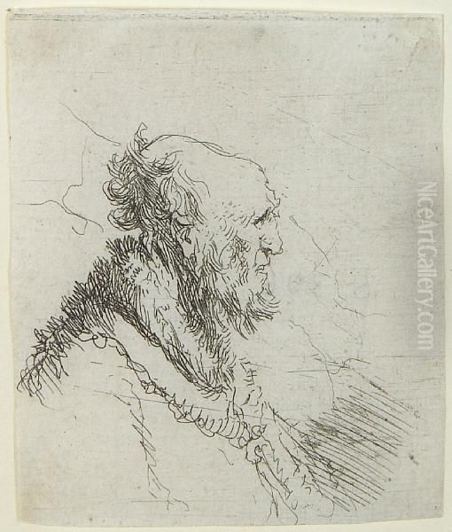 Bald Old Man With A Short Beard, In Profile Right Oil Painting by Harmenszoon van Rijn Rembrandt