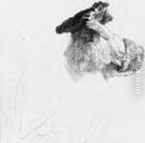 Old Man Shading His Eyes With His Hand Oil Painting by Harmenszoon van Rijn Rembrandt