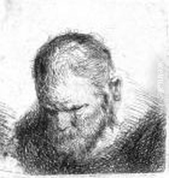Kopf Eines Niederblickenden Mannes Mit Kurzem Haar Oil Painting by Harmenszoon van Rijn Rembrandt