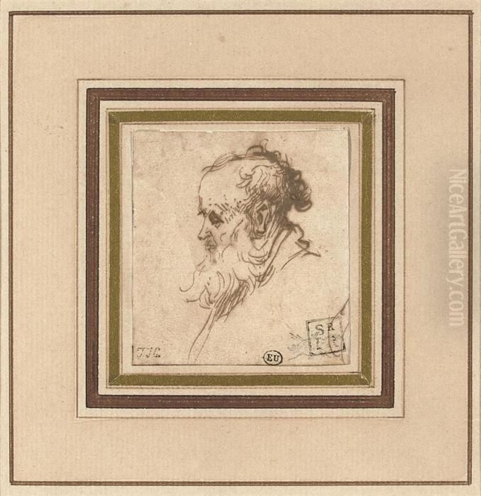 Head Of A Bearded Man In Profile To The Left Oil Painting by Harmenszoon van Rijn Rembrandt