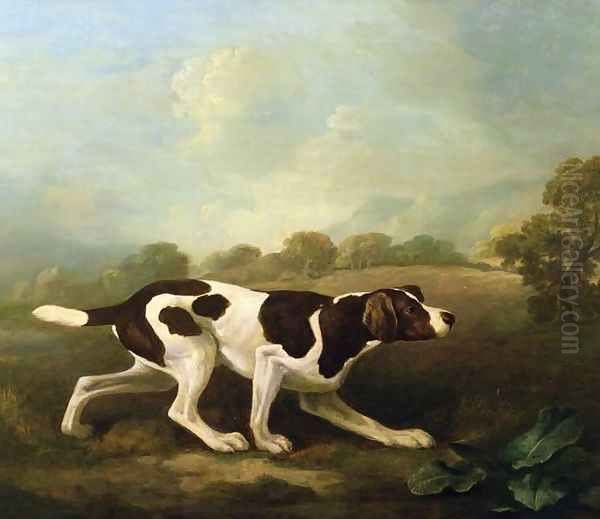 A Pointer Oil Painting by George Stubbs