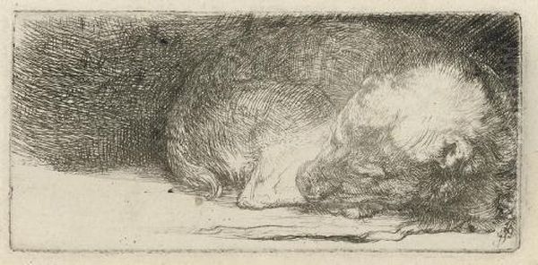 A Sleeping Puppy (b., Holl. 158; H. 174) Oil Painting by Harmenszoon van Rijn Rembrandt