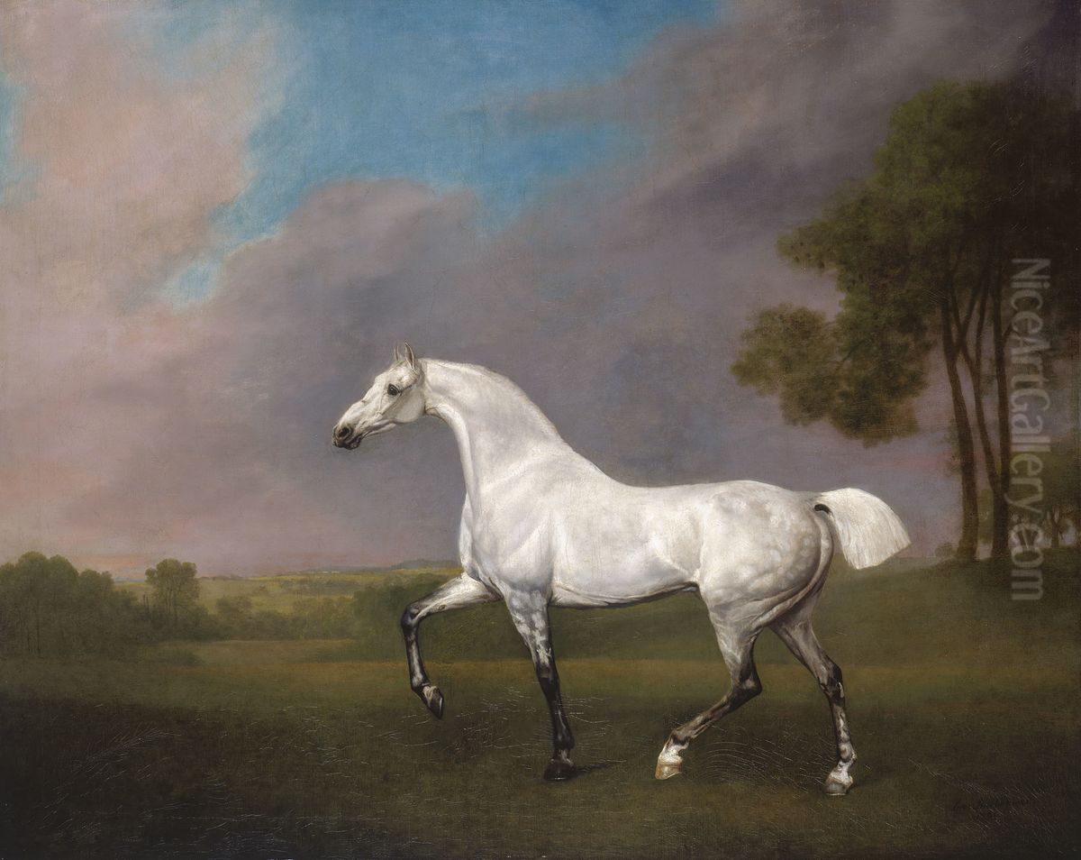 A Grey Horse Oil Painting by George Stubbs