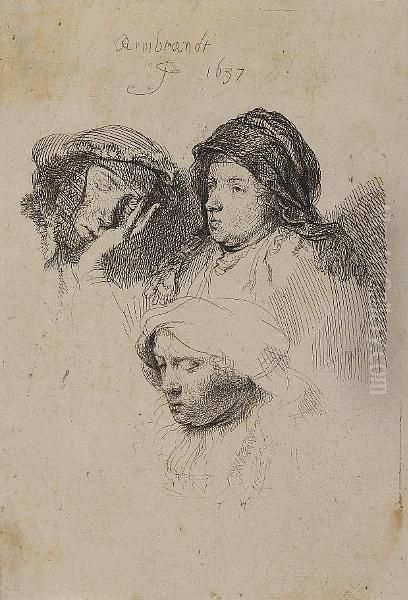 Three Heads Of Women; One Asleep (bartsch 368) Oil Painting by Harmenszoon van Rijn Rembrandt