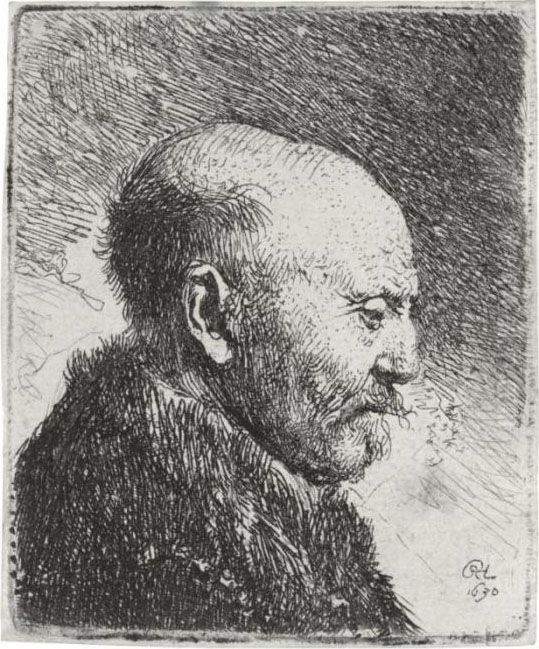 Bald Headed Man In Profile 
Right: The Artist's Father (?) (b., Holl. 292; H. 23; Bb. 30-g) Oil Painting by Harmenszoon van Rijn Rembrandt