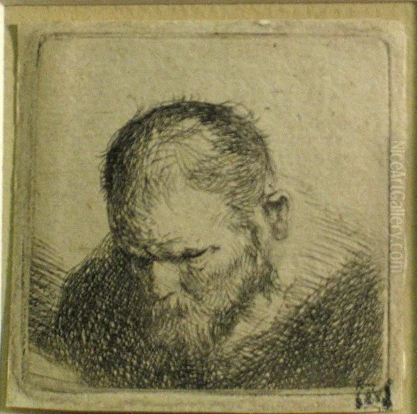 A Bearded Man Looking Down Oil Painting by Harmenszoon van Rijn Rembrandt