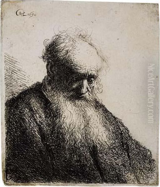 Old Man With A Flowing Beard Oil Painting by Harmenszoon van Rijn Rembrandt