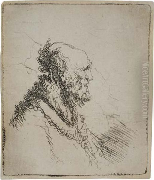 Bald Old Man With A Short Beard, In Profile Right Oil Painting by Harmenszoon van Rijn Rembrandt