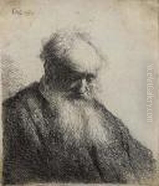 Old Man With Flowing Beard, Bust Oil Painting by Harmenszoon van Rijn Rembrandt