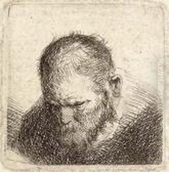 A Bearded Man Looking Down Oil Painting by Harmenszoon van Rijn Rembrandt