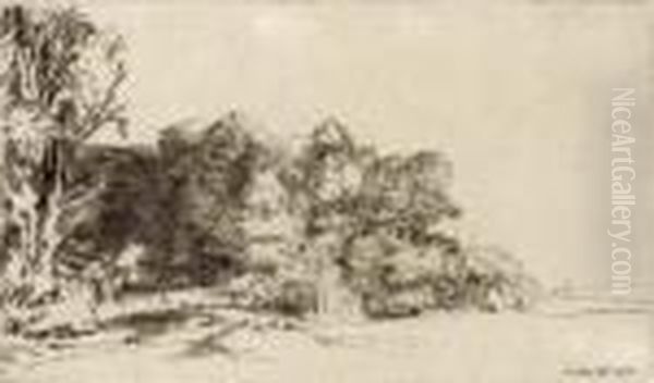Clump Of Trees With A Vista Oil Painting by Harmenszoon van Rijn Rembrandt