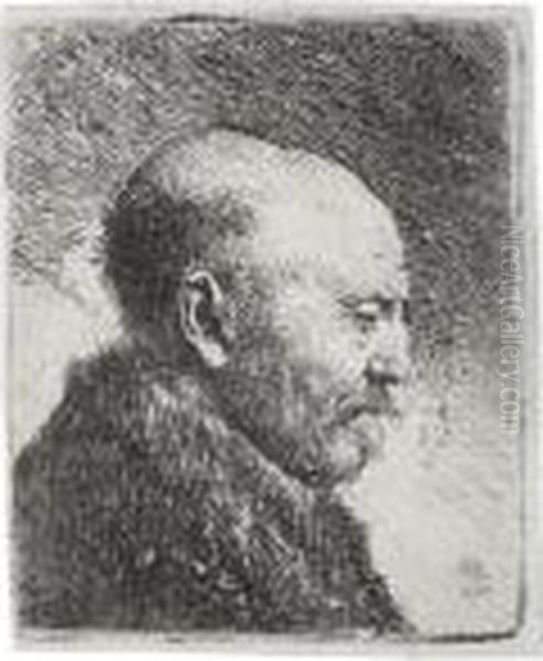 Bald-headed Man In Profile, 
Right: The Artist's Father (?) (b., Holl. 292; H. 23; Bb. 30-g) Oil Painting by Harmenszoon van Rijn Rembrandt