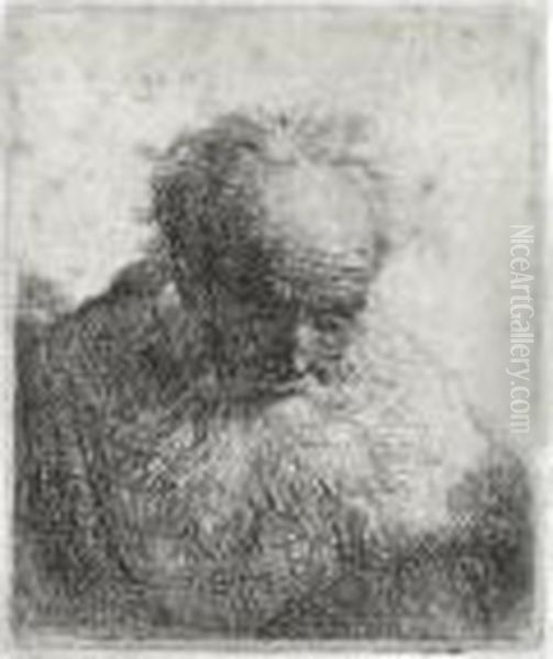 Bust Of An Old Man With A 
Flowing Beard, The Head Bowed Forward: Left Shoulder Unshaded (b., Holl.
 325; H. 27; Bb. 30-j) Oil Painting by Harmenszoon van Rijn Rembrandt